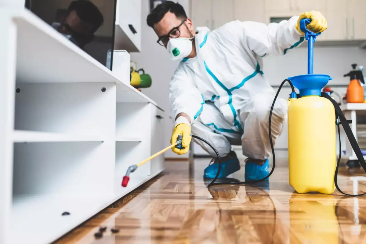 Ben’s Pest Control: Your Premier Solution for Pest-Free Living